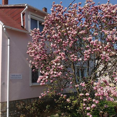 Villa Galina Hévíz Exterior foto