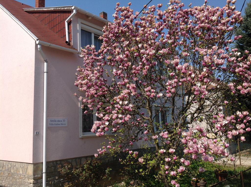 Villa Galina Hévíz Exterior foto